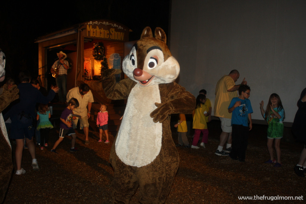 Chip and dale campfire