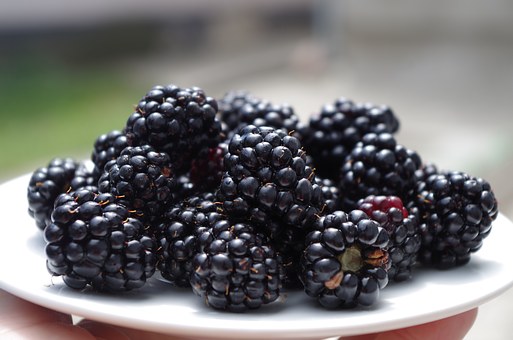 blackberry smoothie recipe