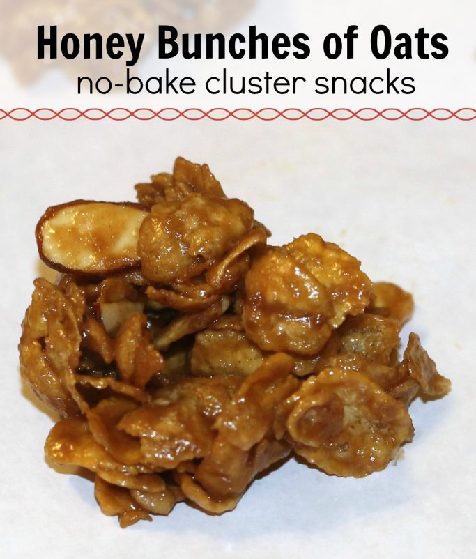honey bunches of oat clusters Hustle Mom Repeat